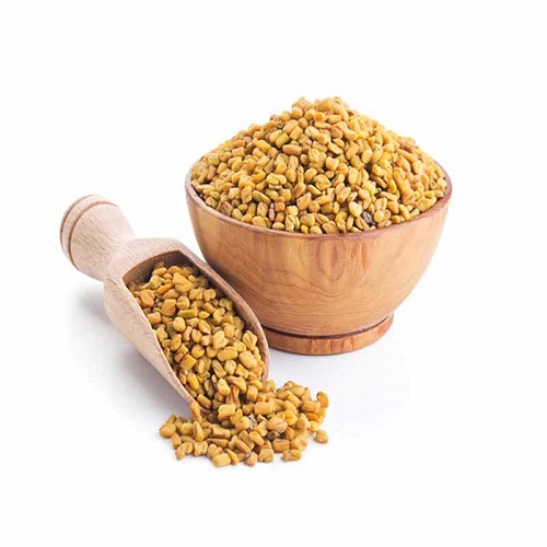 Fresh fenugreek seeds exported by QuickExim