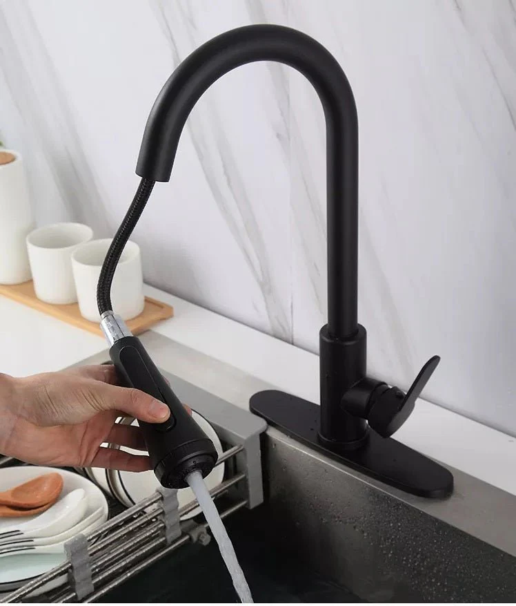 Modern black kitchen faucet with pull-out sprayer exported by QuickExim.