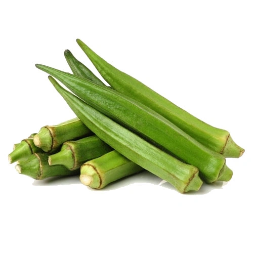 Import Fresh Okra India