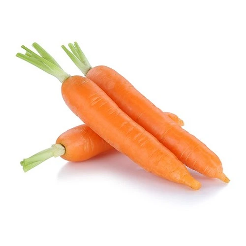 Import Fresh Carrots India