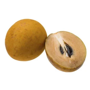 Fresh ripe chikoo fruit from India