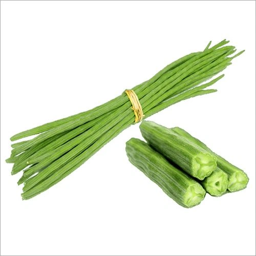 Import Fresh Drumstick Moringa India