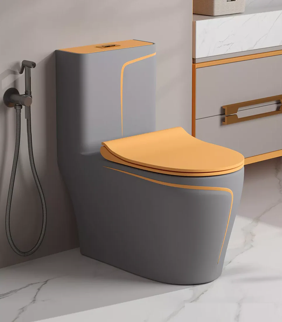 Contemporary floor-mounted toilet with soft-close lid