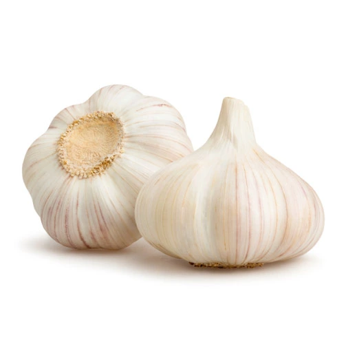 Import Fresh Garlic India