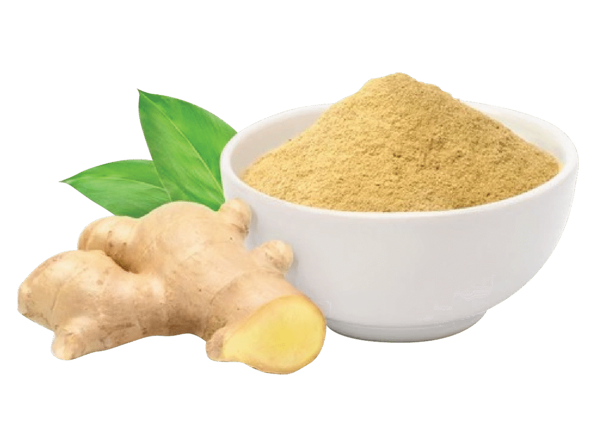 Dried ginger powder exported by QuickExim