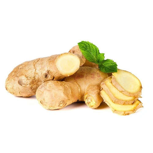 Import Fresh Ginger India