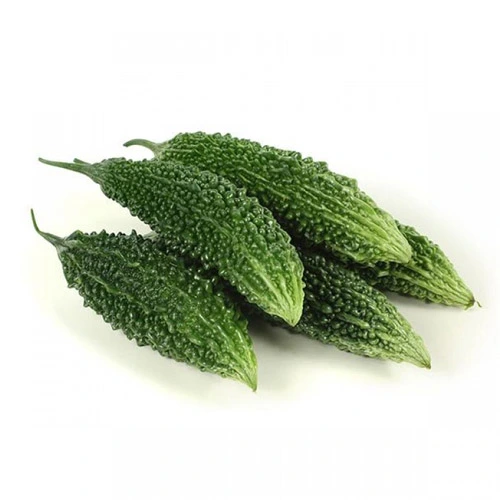 Import Bitter Gourd Karela India