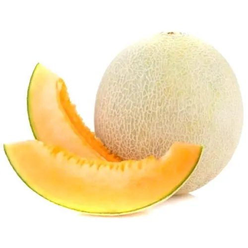 Fresh muskmelon from India
