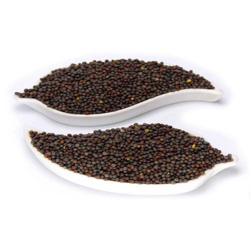 Whole mustard seeds exported by QuickExim