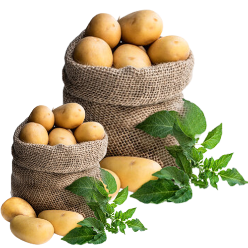 Import Indian Potatoes Export