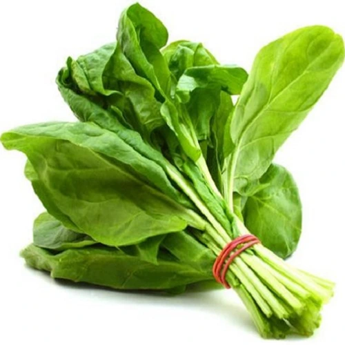 Import Fresh Spinach India